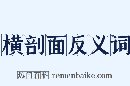 横剖面反义词是什么意思的图片
